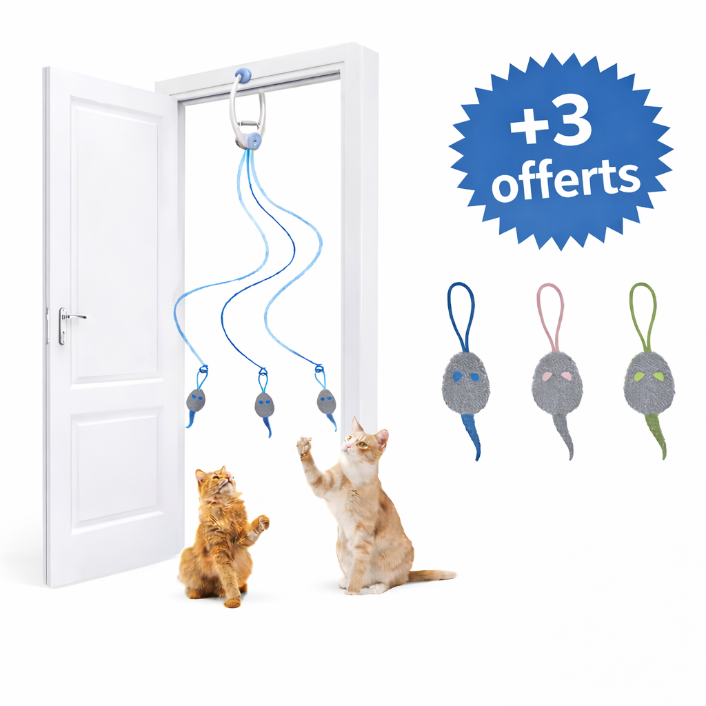 🎯 Jouet interactif pour chat - Loun