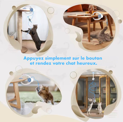 🎯 Jouet interactif pour chat - Loun