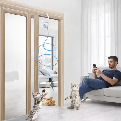 🎯 Jouet interactif pour chat - Loun